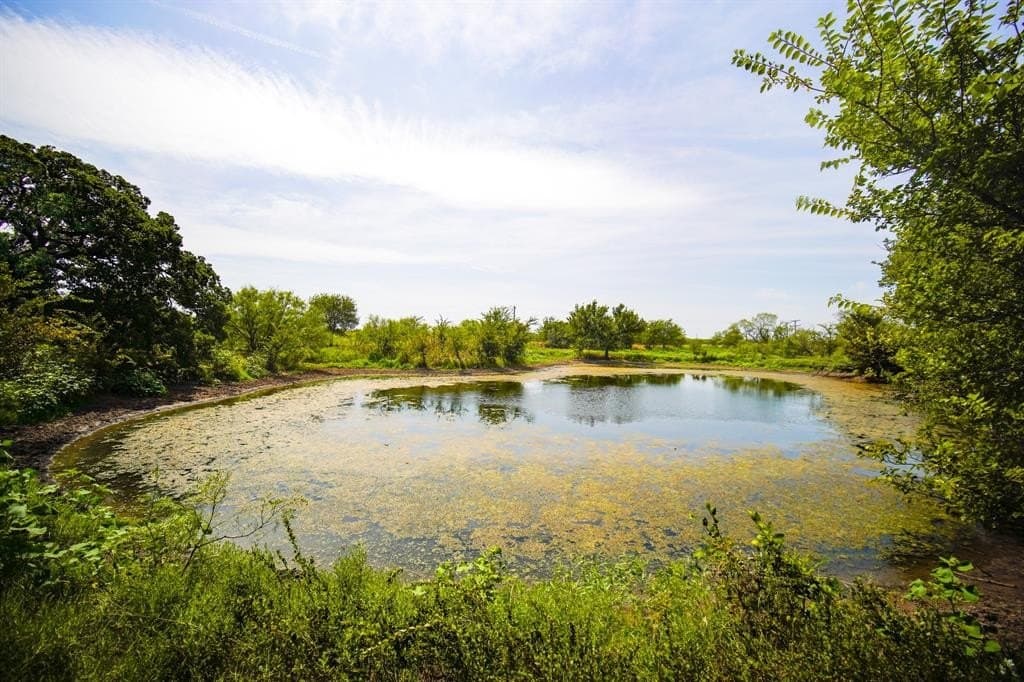 29.17 acres in Jack County - photo 17