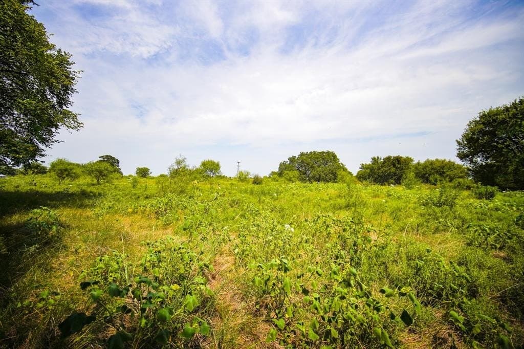 29.17 acres in Jack County - photo 21