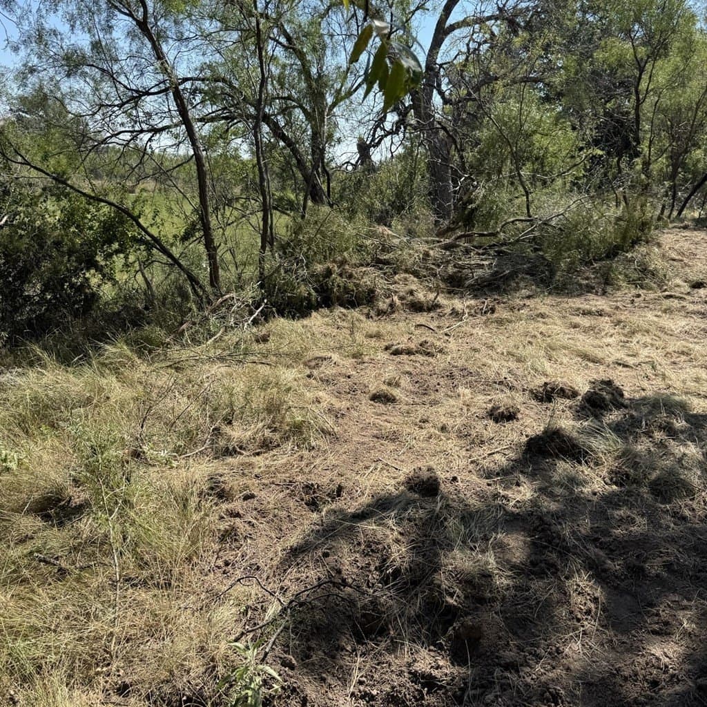 26.17 acres in Tom Green County - photo 5