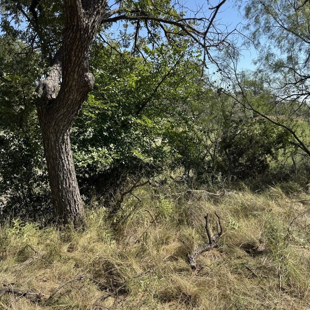 26.17 acres in Tom Green County - photo 4