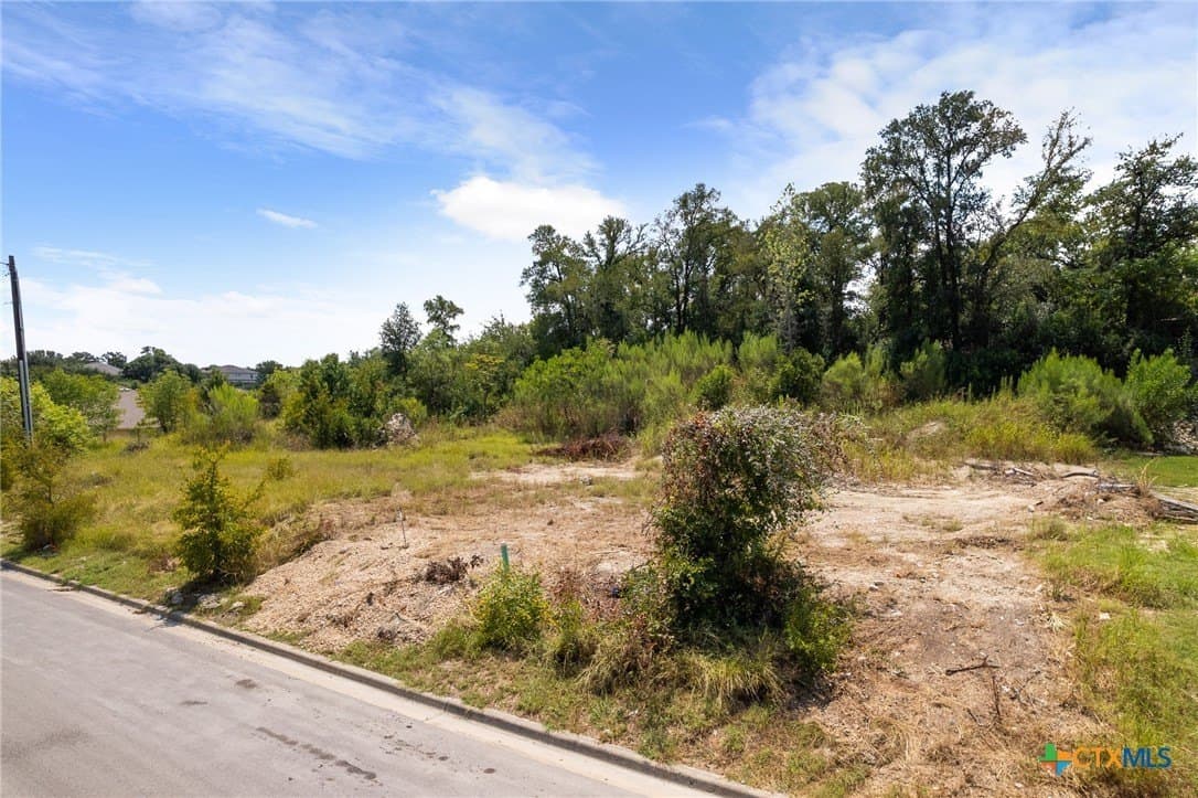 0.14 acres in Bell County - photo 3