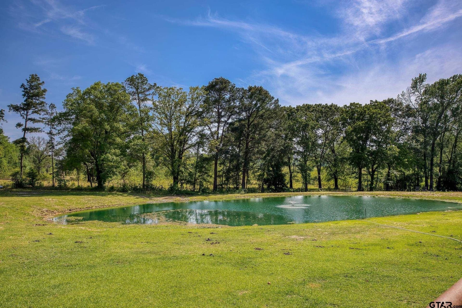 59.05 acres in Anderson County - photo 8