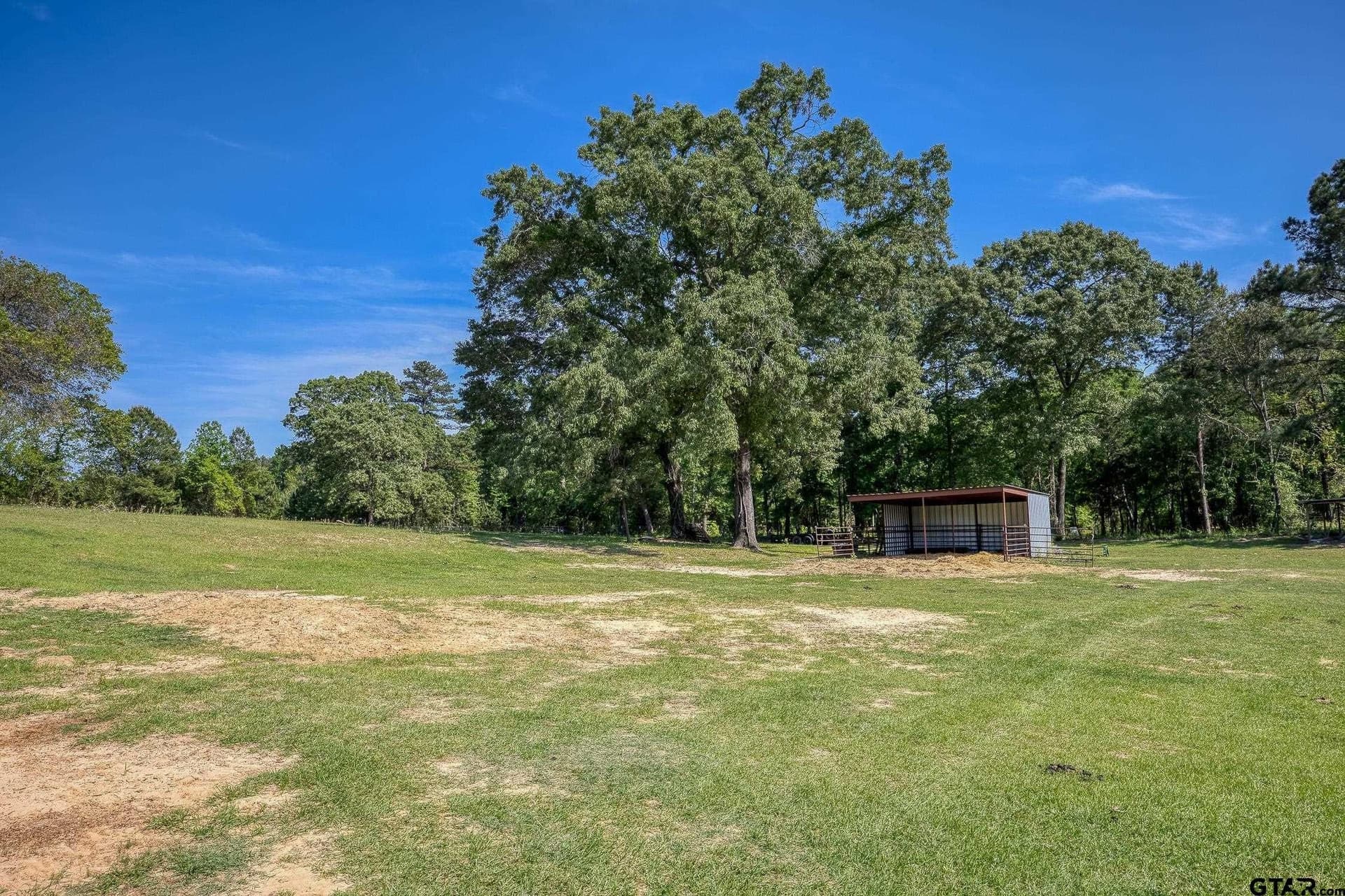 59.05 acres in Anderson County - photo 7