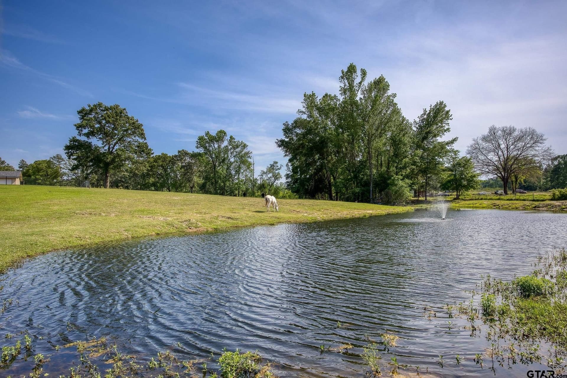 59.05 acres in Anderson County - photo 30