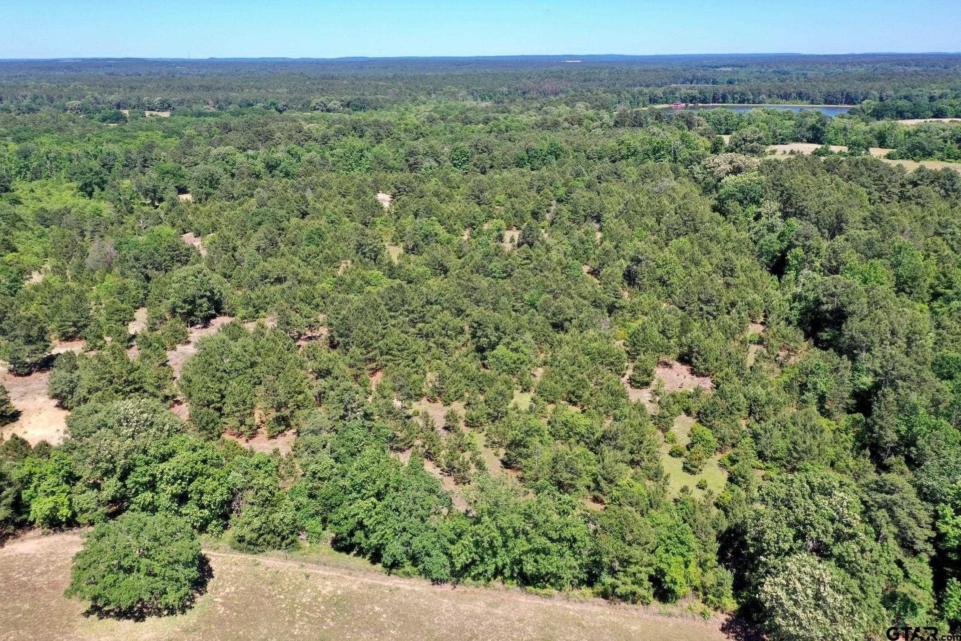 59.05 acres in Anderson County - photo 38