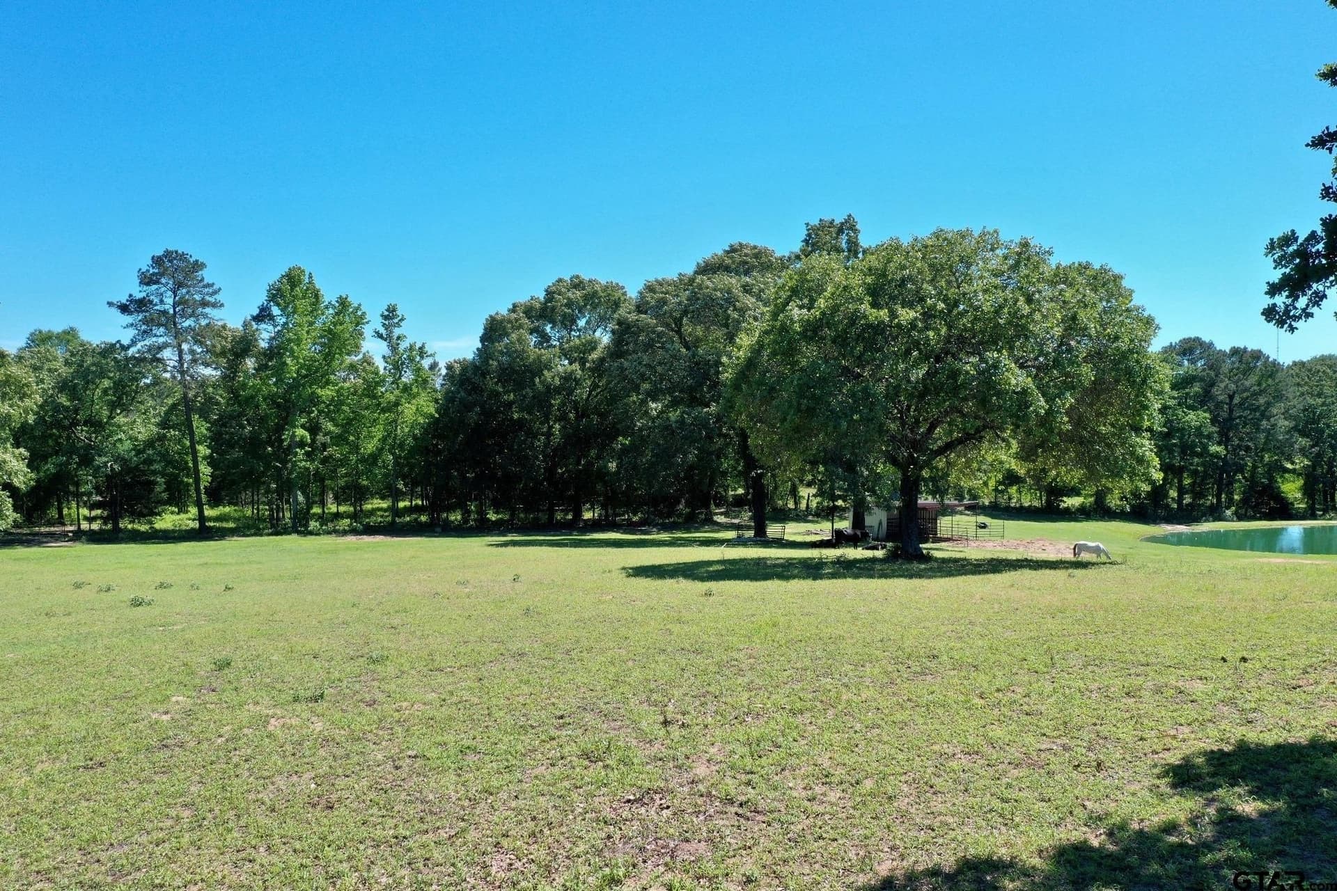 59.05 acres in Anderson County - photo 39