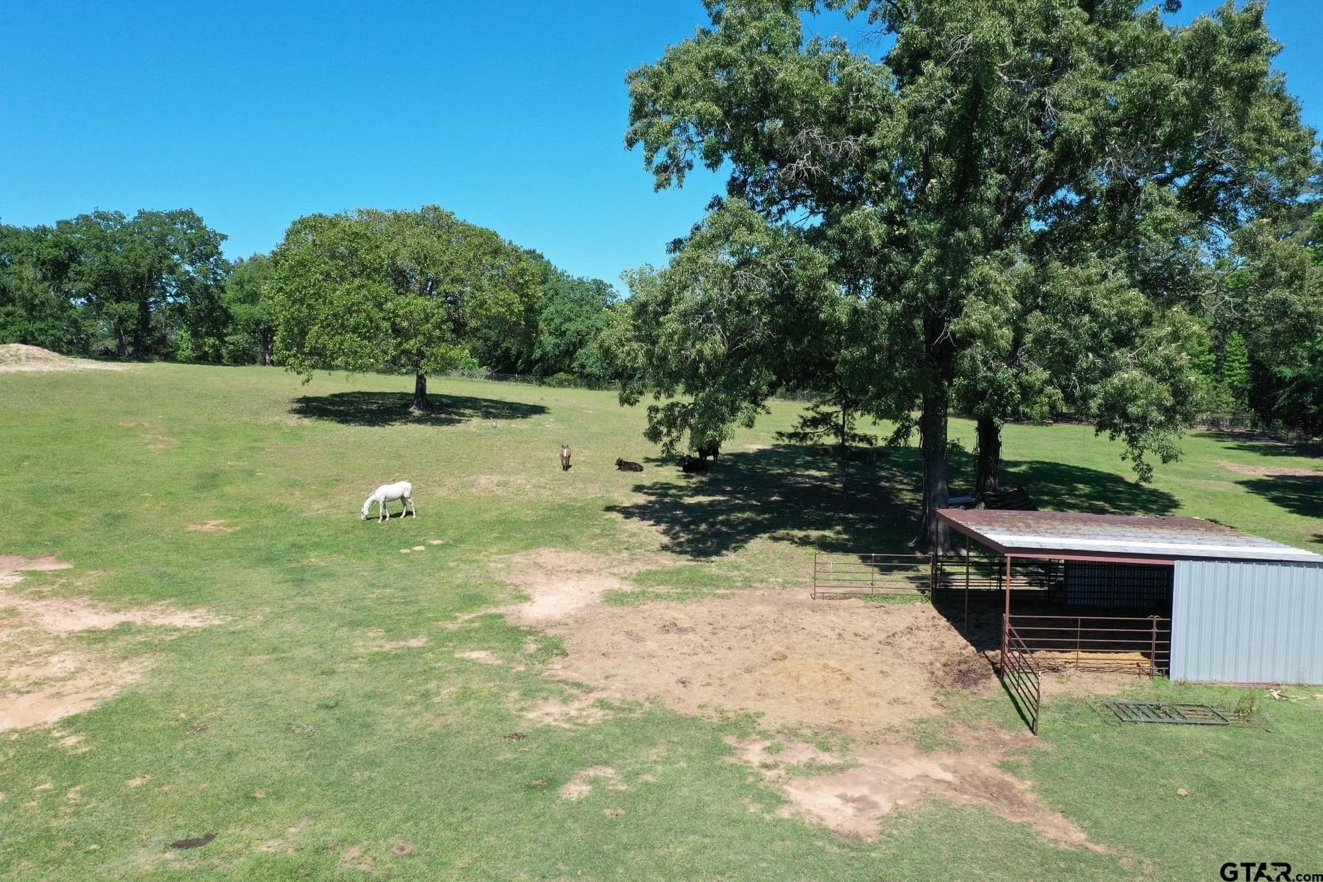 59.05 acres in Anderson County - photo 36