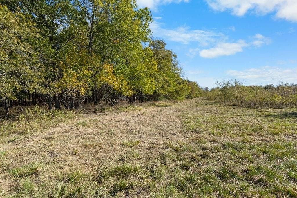 16.93 acres in Delta County - photo 10