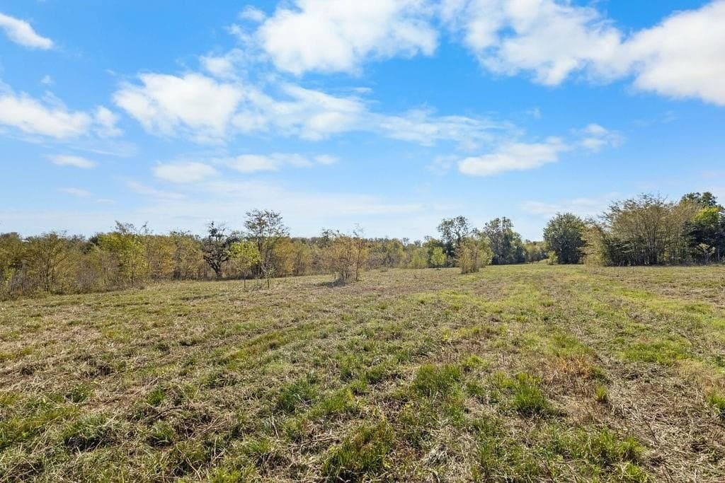 16.93 acres in Delta County - photo 11