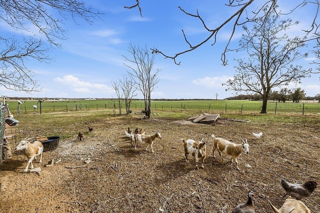 2.1 acres in Robertson County - photo 20