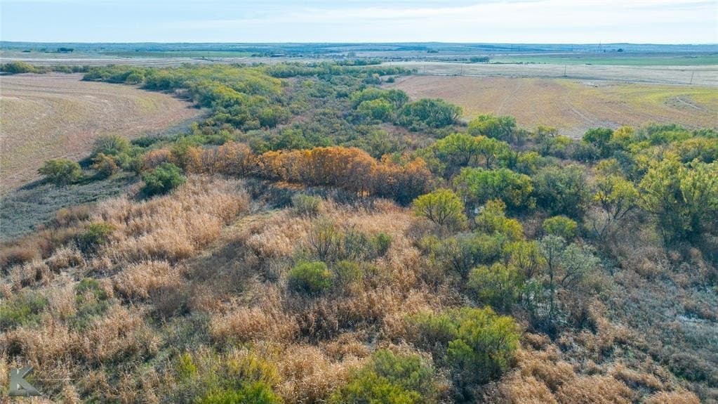 160 acres in Fisher County - photo 9
