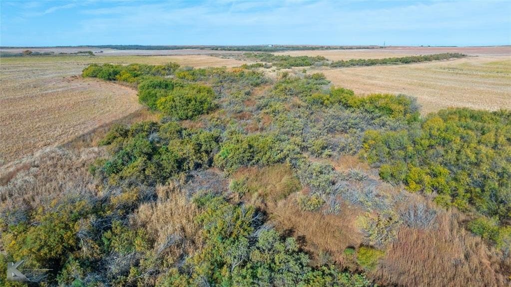 160 acres in Fisher County - photo 27