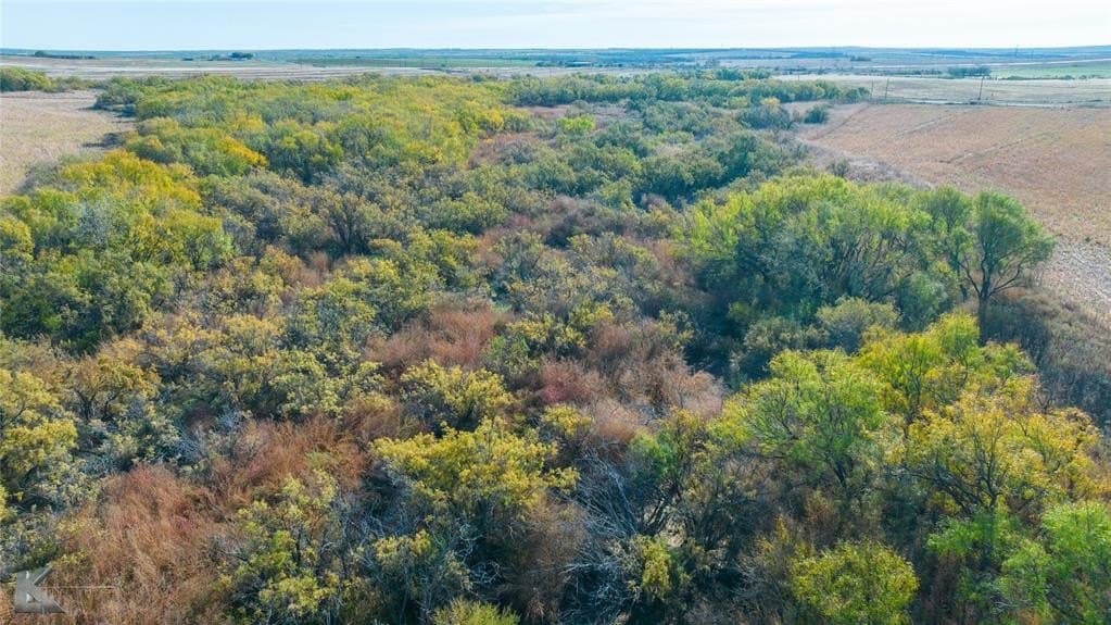 160 acres in Fisher County - photo 26