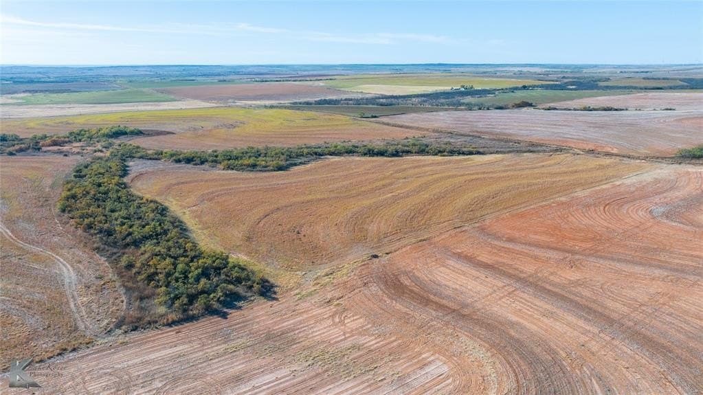 160 acres in Fisher County - photo 16
