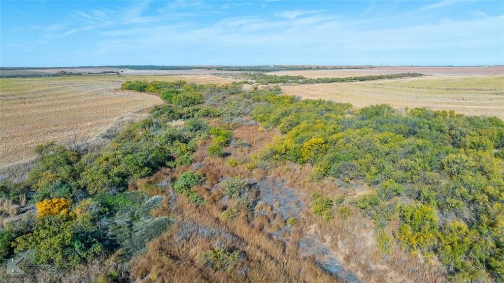160 acres in Fisher County - photo 28