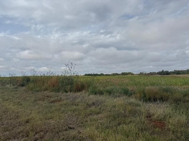 160 acres in Fisher County - photo 6