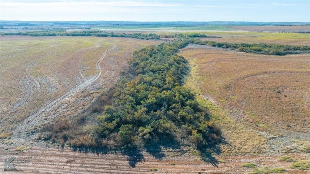 160 acres in Fisher County - photo 2