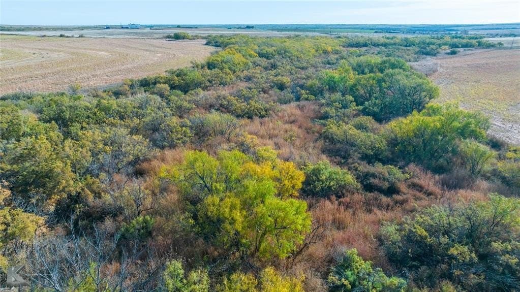 160 acres in Fisher County - photo 25
