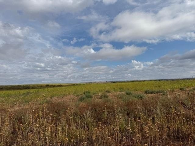 160 acres in Fisher County - photo 4