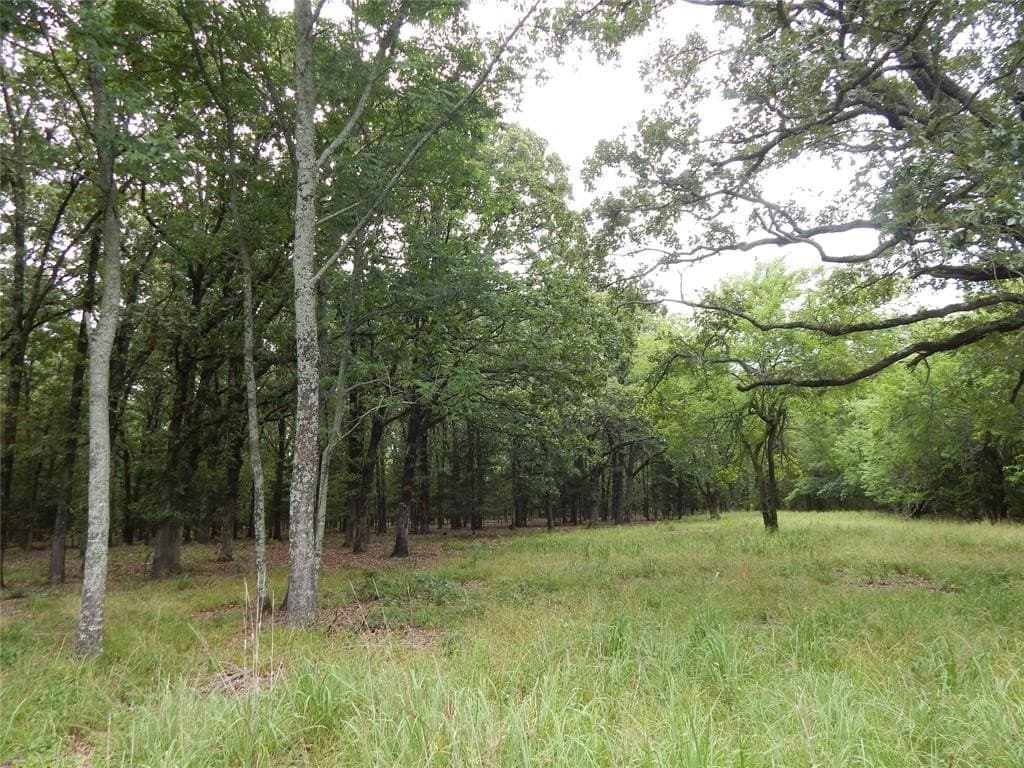 10.12 acres in Red River (TX) County - photo 20