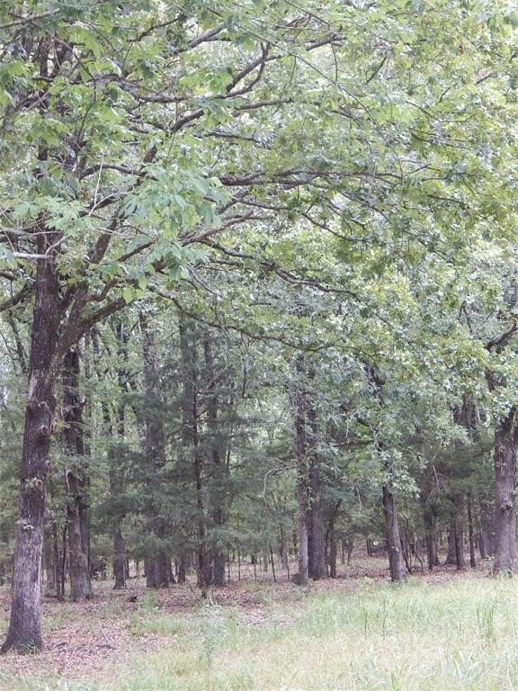 10.12 acres in Red River (TX) County - photo 13