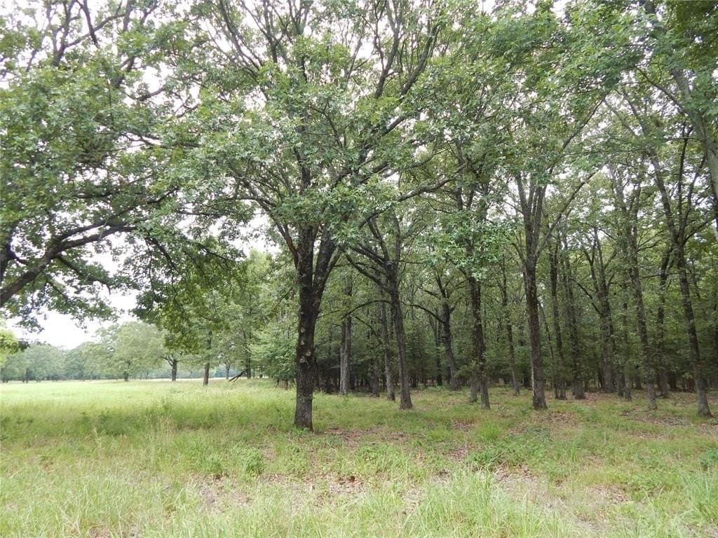 10.12 acres in Red River (TX) County - photo 12