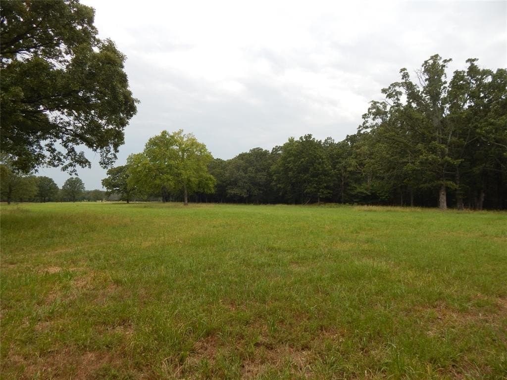 10.12 acres in Red River (TX) County - photo 11