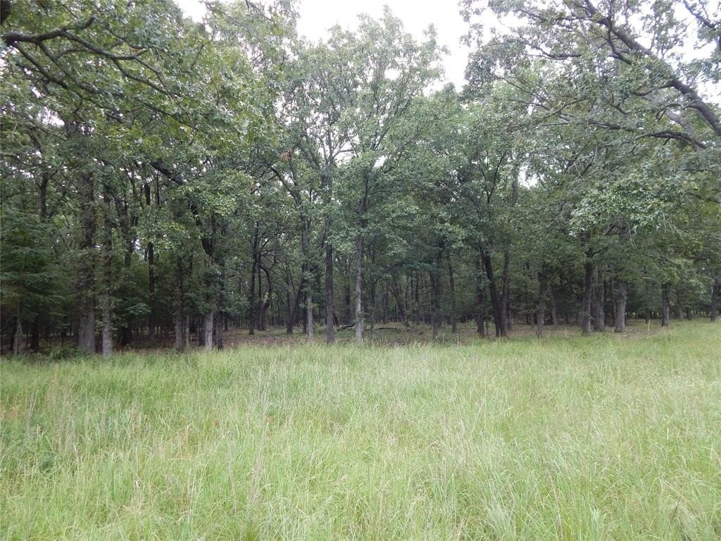 10.12 acres in Red River (TX) County - photo 16