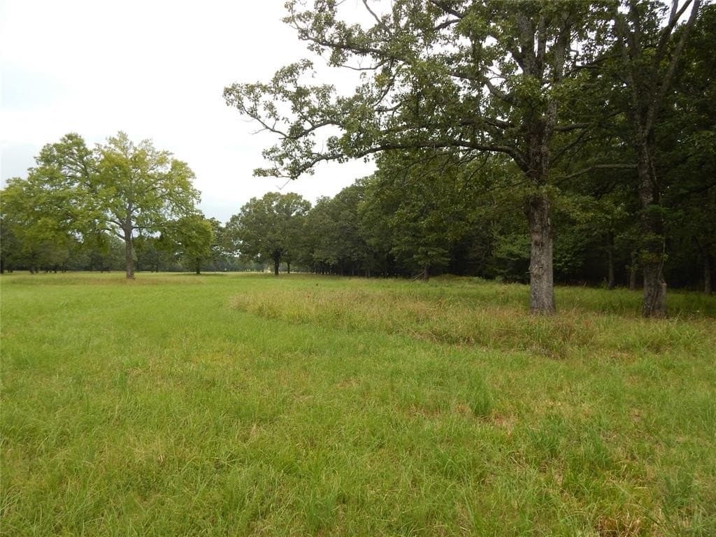 10.12 acres in Red River (TX) County - photo 19