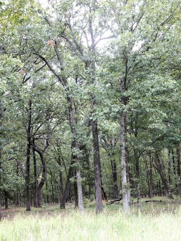 10.12 acres in Red River (TX) County - photo 15