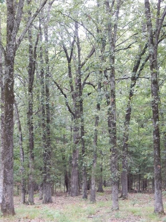 10.12 acres in Red River (TX) County - photo 14