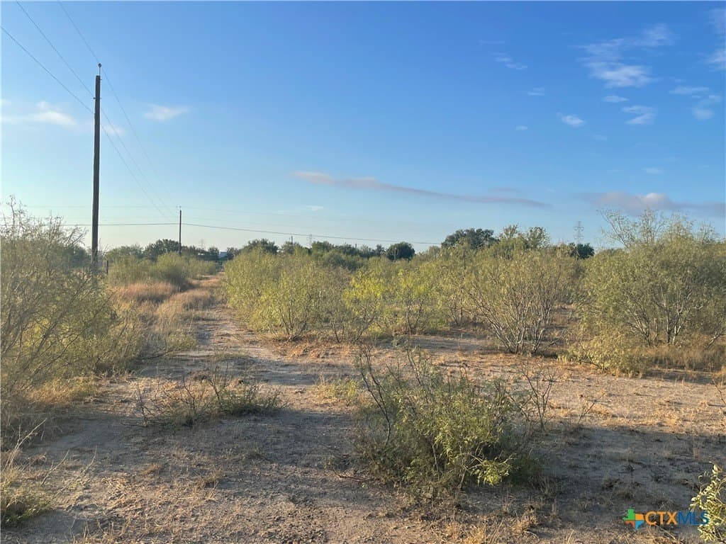10.01 acres in Guadalupe County - photo 6