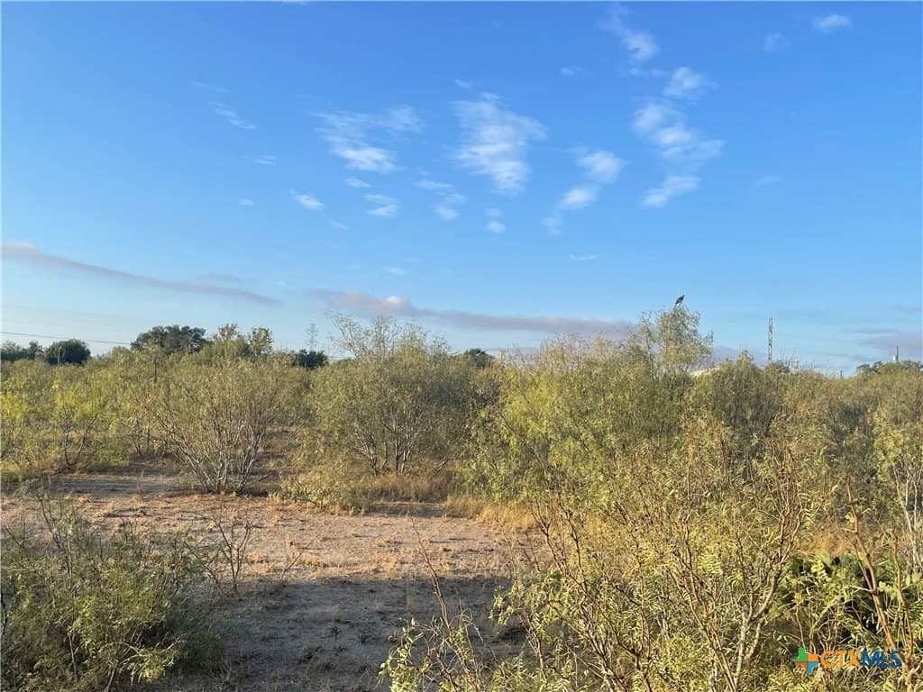 10.01 acres in Guadalupe County - photo 4