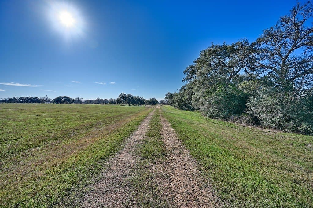 175.86 acres in Colorado County - photo 2