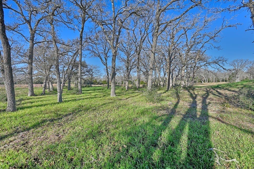 175.86 acres in Colorado County - photo 14
