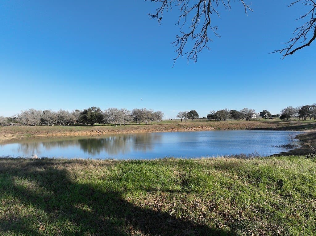 175.86 acres in Colorado County - photo 8