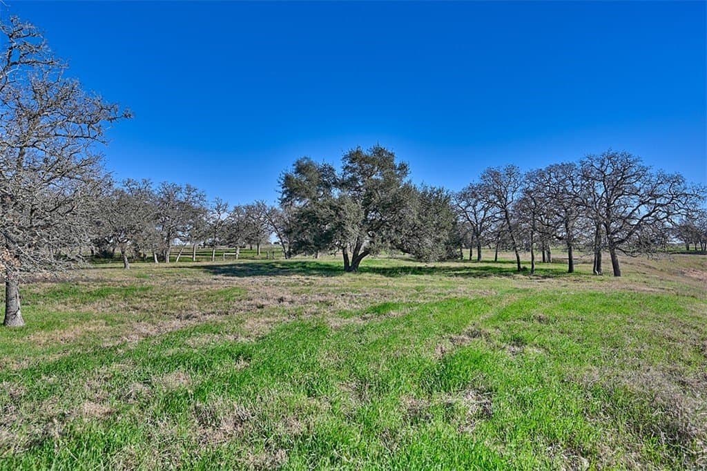 175.86 acres in Colorado County - photo 7