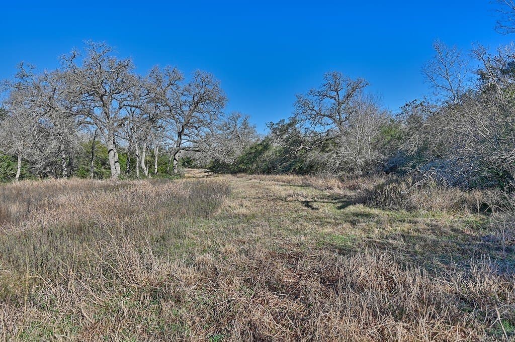 175.86 acres in Colorado County - photo 18
