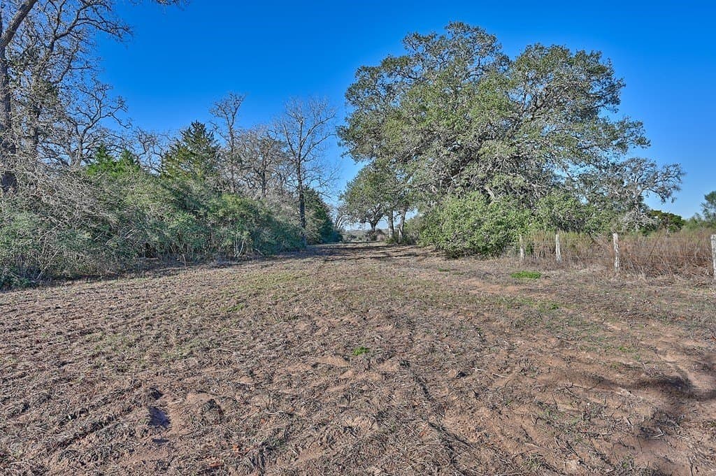 175.86 acres in Colorado County - photo 17