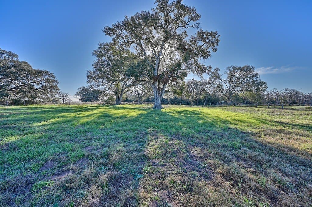 175.86 acres in Colorado County - photo 6