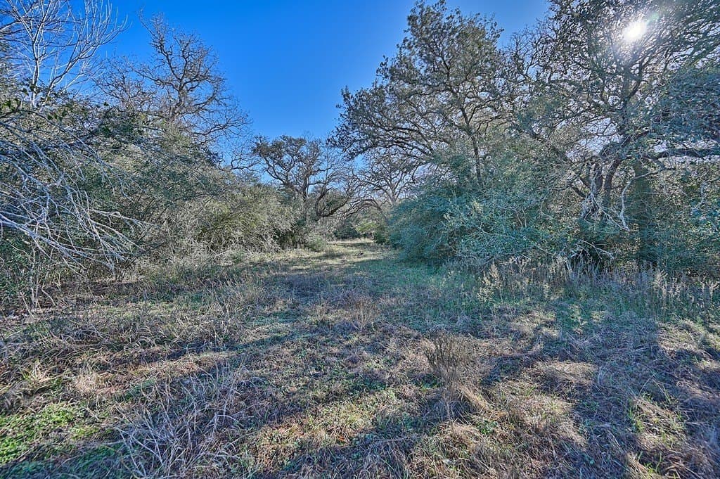 175.86 acres in Colorado County - photo 12