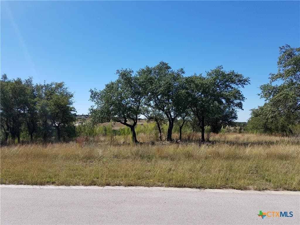 3.75 acres in Blanco County - photo 17