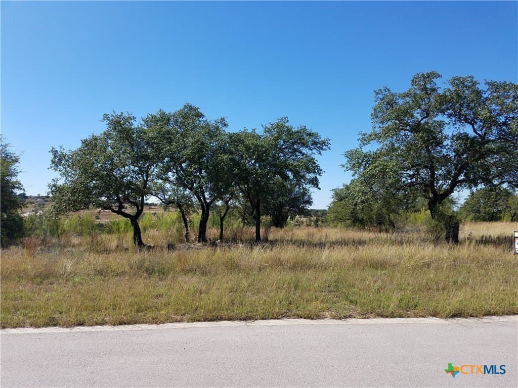 3.75 acres in Blanco County - photo 7