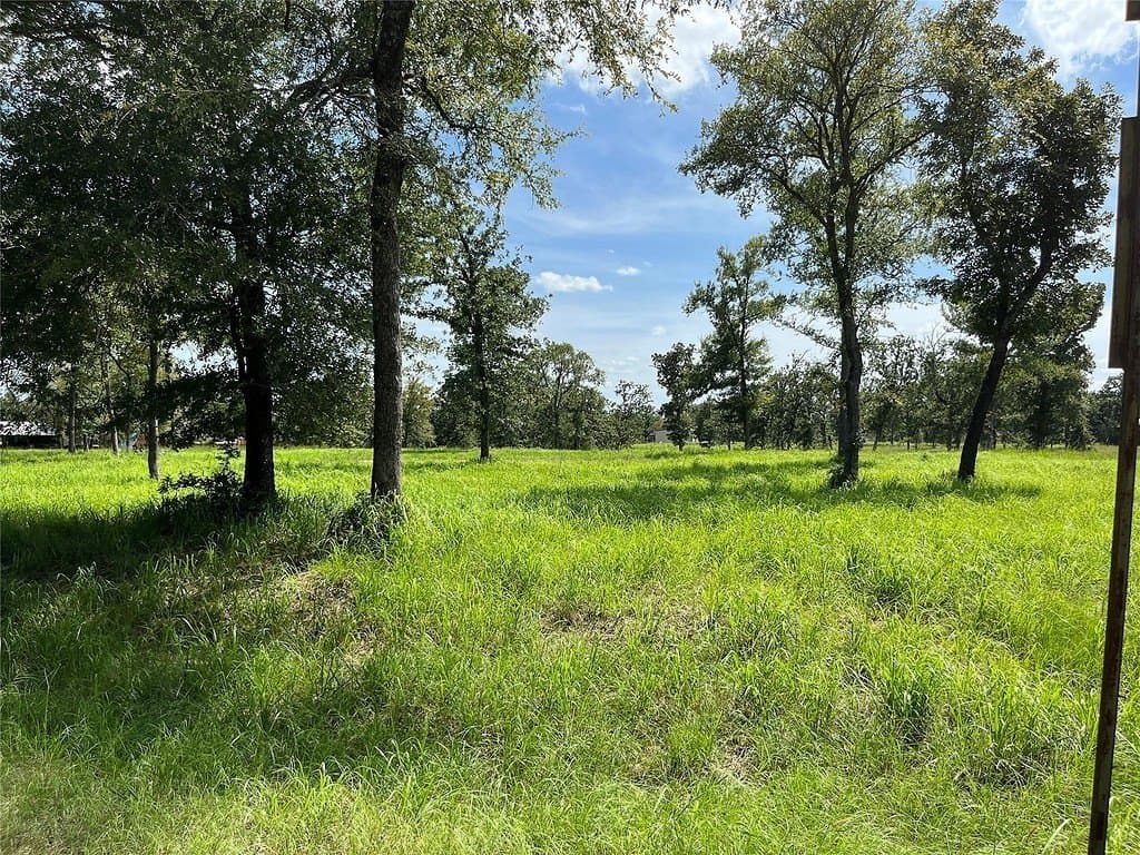 4.71 acres in Limestone County - photo 6