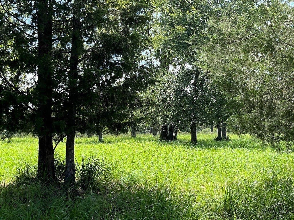 4.71 acres in Limestone County - photo 7
