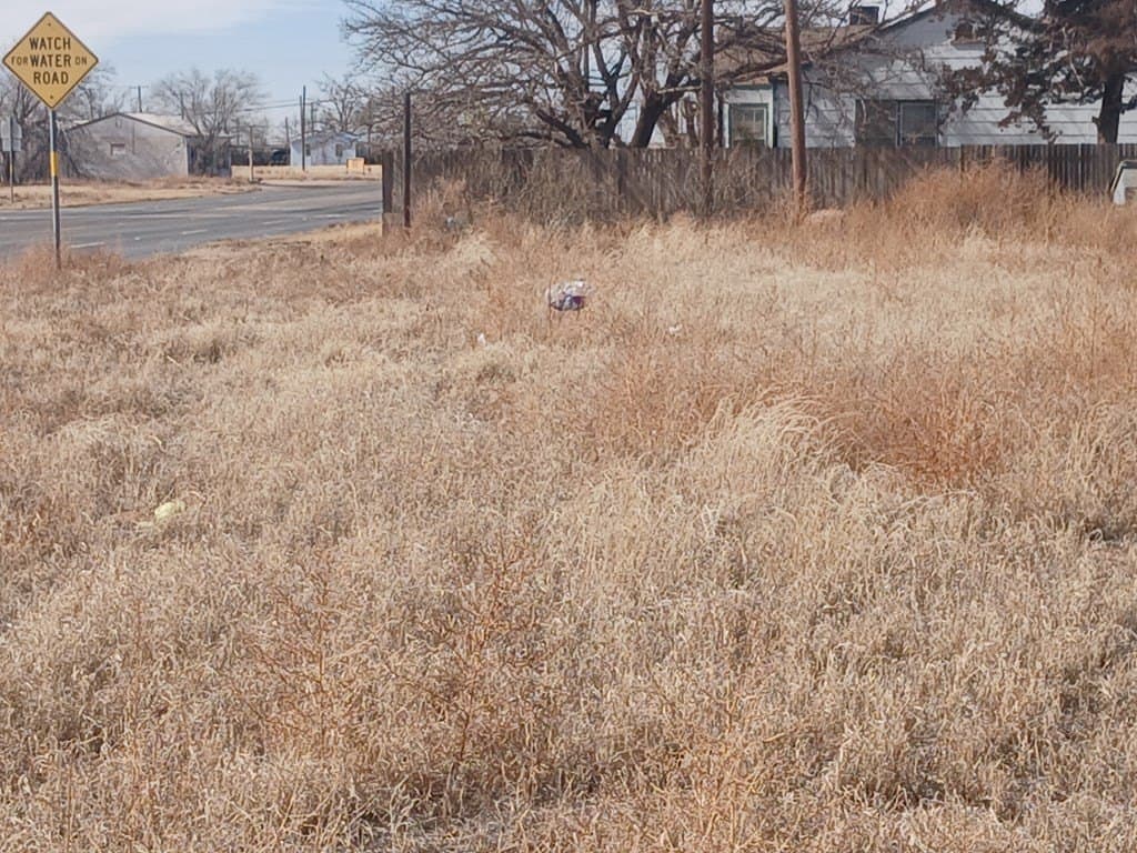 0.16 acres in Gaines County - photo 5