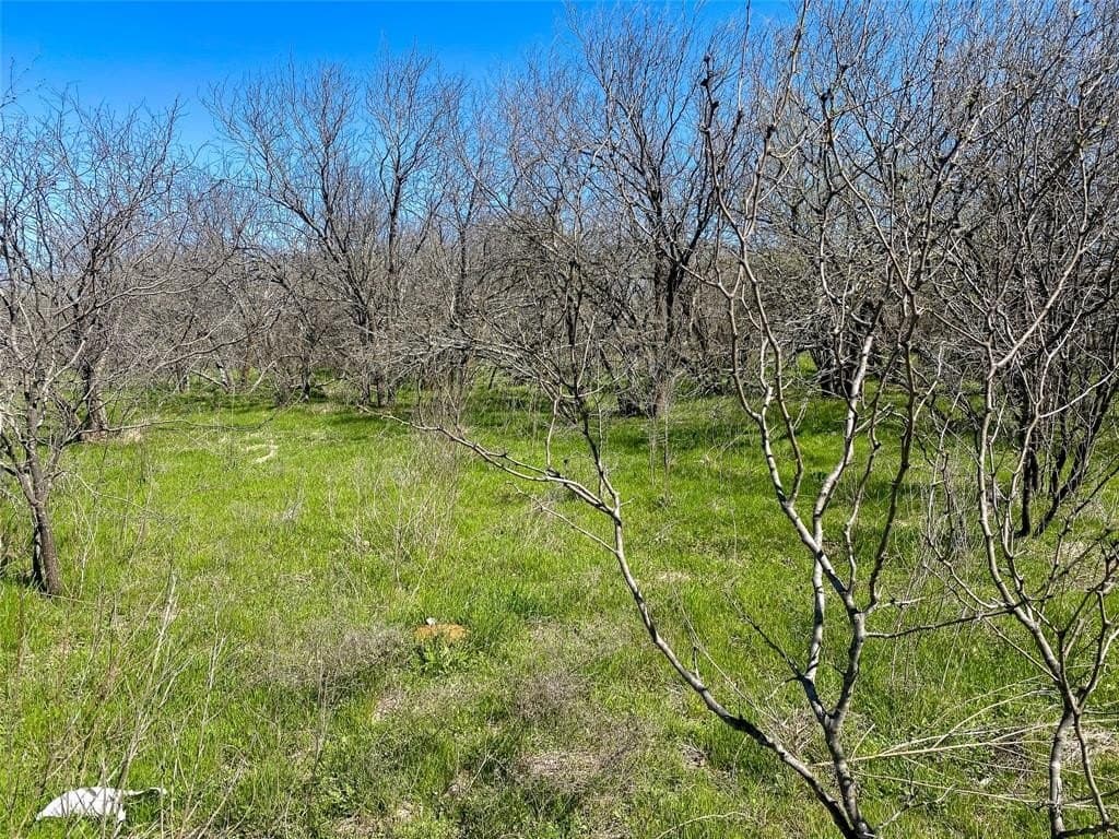 8 acres in Johnson County - photo 7