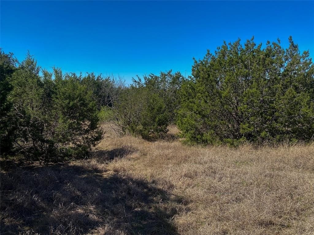 8 acres in Johnson County - photo 9
