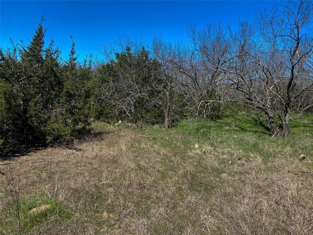 8 acres in Johnson County - photo 10
