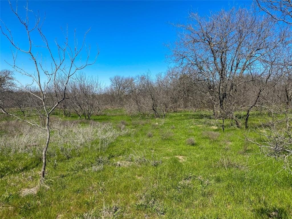 8 acres in Johnson County - photo 8